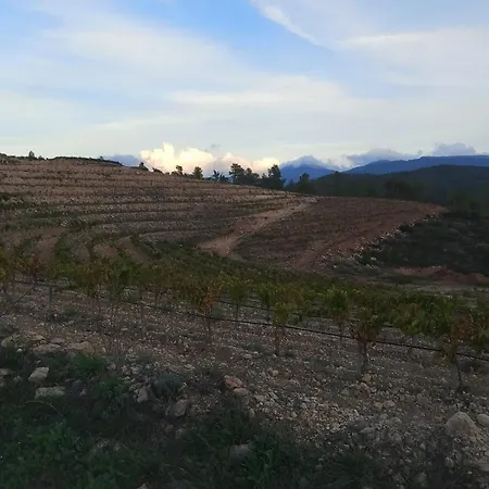Holiday home Camins Del Priorat